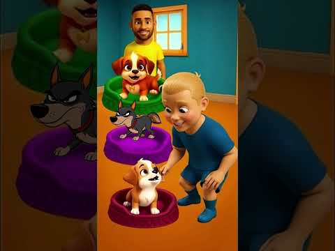 Qual Cachorrinho Fez Caquinha na Cama ❓❓❗😂