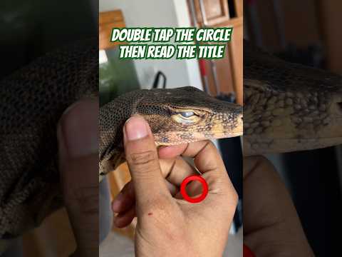 Click on the sound โก๏ธ