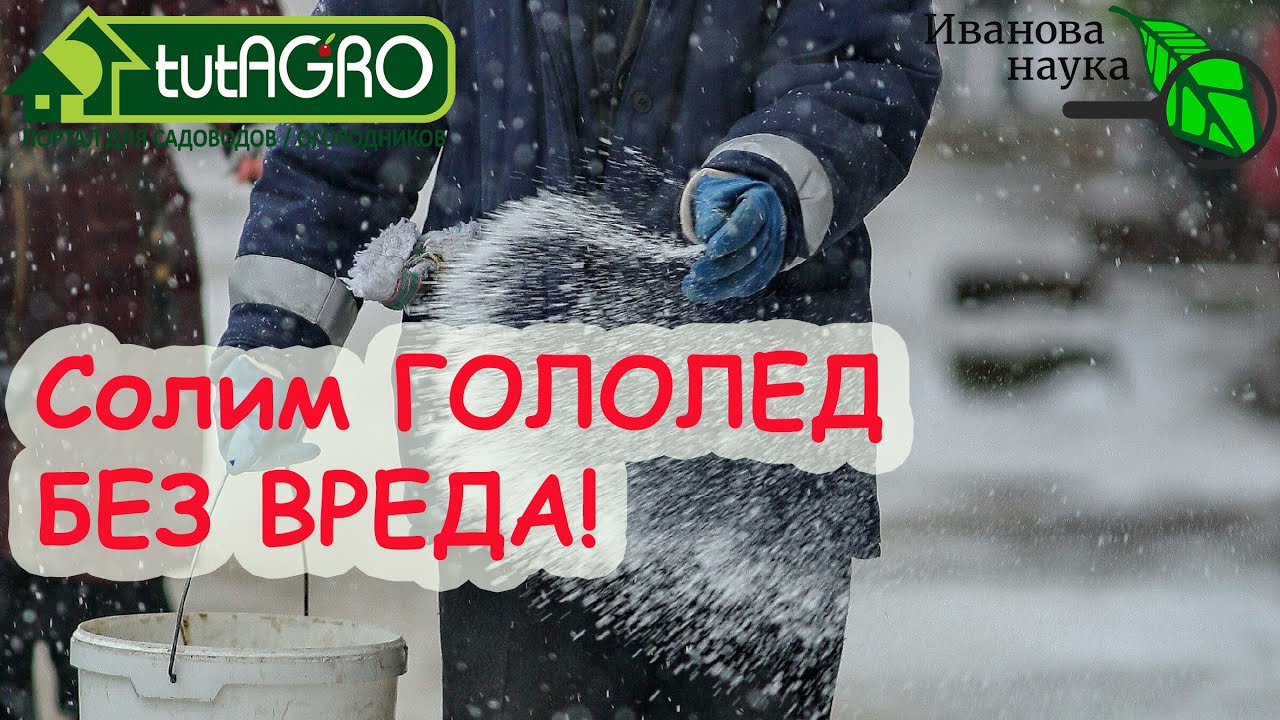 Гололед не пройдет! Посыпаем дорожки. Без соли! Чем безопасно посыпать дорожки