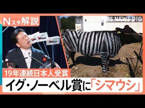19年連続で日本人受賞「イグ・ノーベル賞」　日本人受賞者が多いワケは“懐の広さ”？【Nスタ解説】｜TBS NEWS DIG