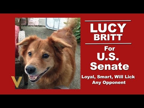 The V - December 03, 2017 - Lucy For Senate