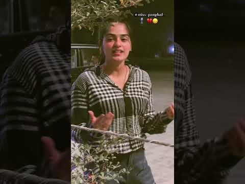 Tera hi to teer tha 💔💔 #love #song #music #misspanghal