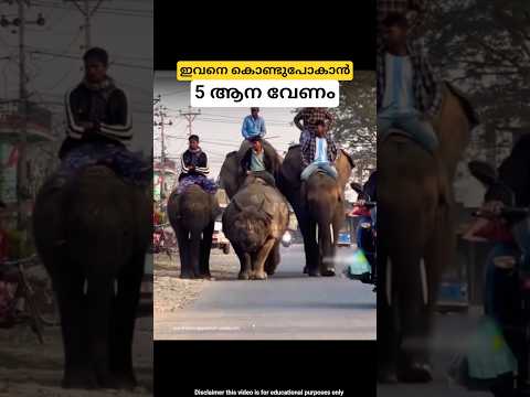 5 เดเดจเดเตพ เดตเตเดฃเตเดเดฟเดตเดจเตเดจเต