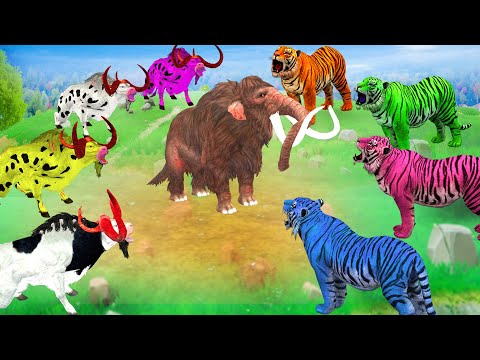 10 Mammoth Elephant vs 5 Zombie Bulls African Elephant vs 3 Giant Tigers Attack Cow Saved by Mammoth