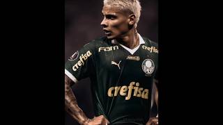 edit dos jogadores do palmeiras