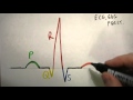 ECG Wave Characteristics and Functions