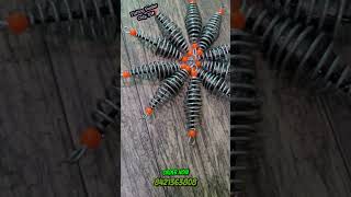 Hand Made Fishing Feedar| 🎣Fishing Gears| Fishing Trick| #fishing