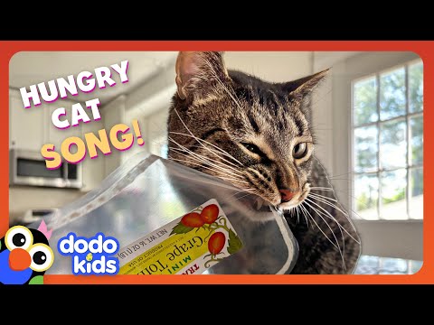🎵🎶 Gimme Dat! (The Hungriest Cat In The World) MUSIC VIDEO SONG 🎵🎶 | Dodo Kids | Music For Kids