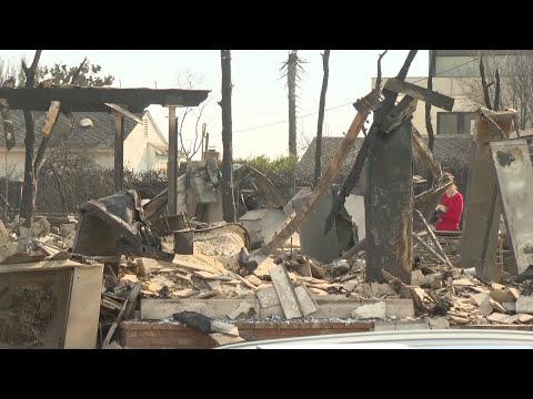 People return to Pacific Palisades and find their homes reduced to ashes by wildfire