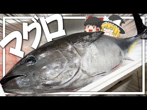 【料理 #27】よっしいはマグロを食べたい　【ゆっくり実況】