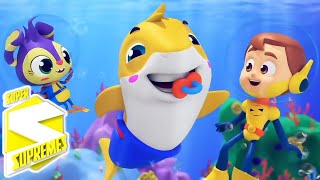 Tiburón bebé 🦈en Español 🎶y más Canción Infantil para Niños