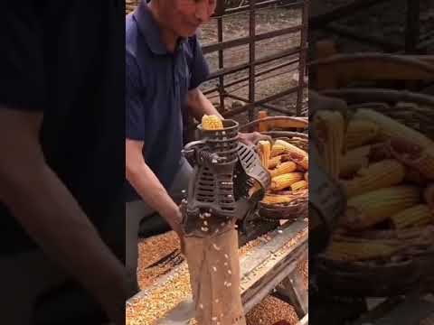 Amcamız Pratik MaşAllah...