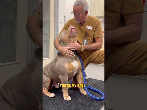 A Goodbye from the Heart: Dr. Esmond Says Farewell to Sheik