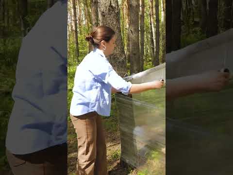 Building a plastic wrap shelter for me and my pet 🌲🐾🛠️ #diy #camping