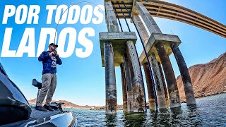 Lobinas POR TODOS LADOS - Esto Es Pesca Ep.2 - Cd. Obregón, Sonora