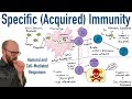 Understanding Adaptive Immunity