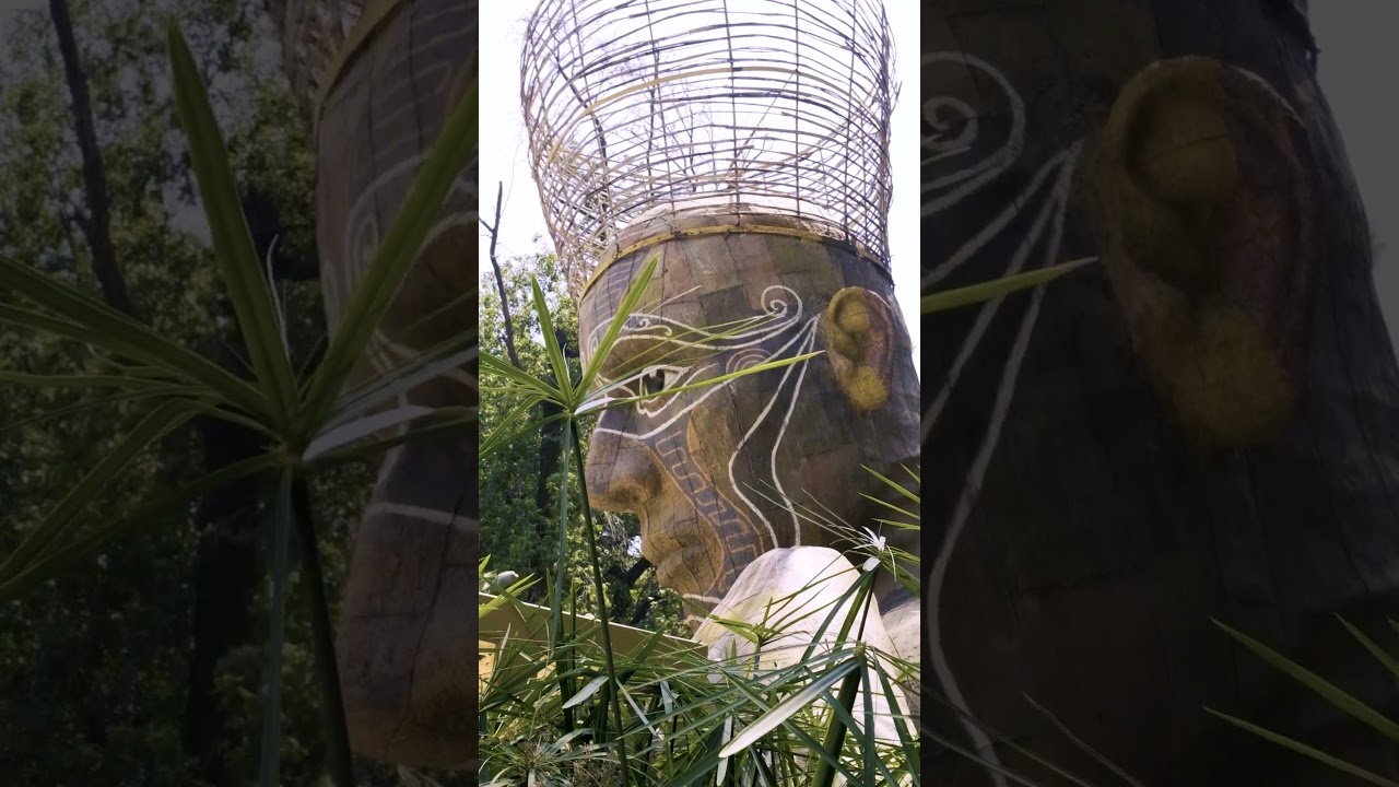Video Fimi Island