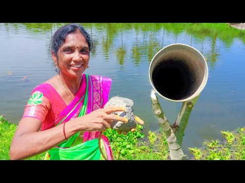 PVC PIPE TRAPPING TECHNIQUES | LADIES FISH HUNTING | Village Super Cooking