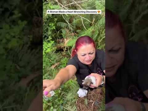 "La Dulce Historia de un Rescate: Perrita y Crías en Busca de Amor"