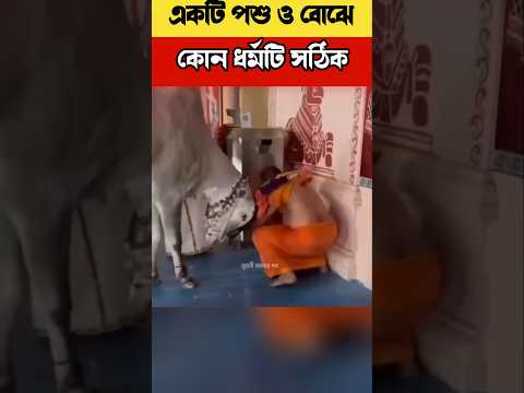 একটি পশু ও বোঝে কোন ধর্মটি সঠিক?An animal also understands which religion is correct.#shortsfeed
