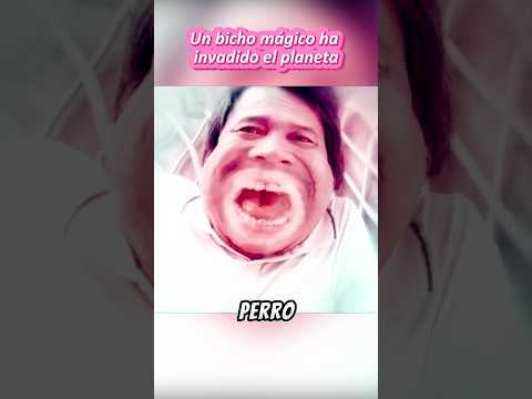 Un bicho mรกgico ha invadido el planeta. #shorts