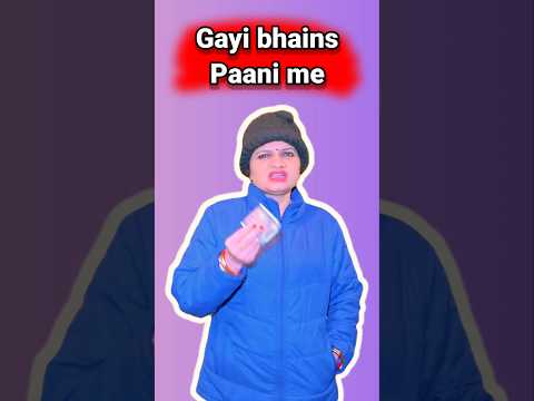 Gayi bhains paani me 😂 #shorts #shortsfunny #kktvibes