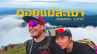 ดอยแม่ละเมา 2วัน 1 คืน เดินแค่ 4 กม. สู่ 1,758 เมตรจากระดับน้ำทะเล!