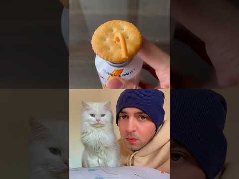 How to eat biscuits life hack ? #shorts #viral #trending #short #shortvideo #food #reaction #fyp