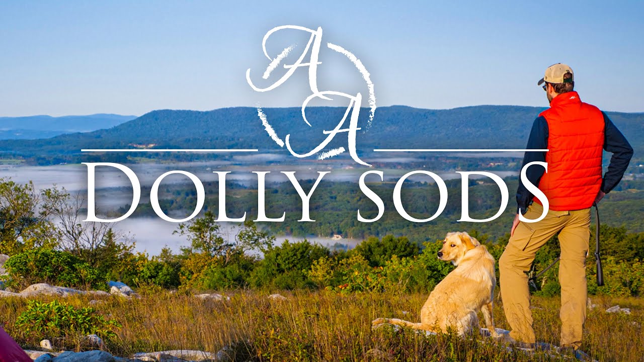 Backpacking With My Dog in Dolly Sods (4K) - AdventureArchives