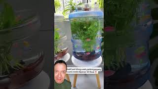 Aquário feito com galão de água?!