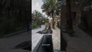 🇴🇲 Vous cherchez un endroit paisible pour découvrir une autre facette d’Oman ?