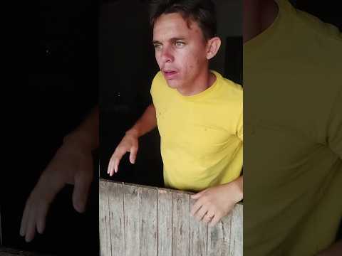 corre meu gato kkkk #comedy #memes #humor