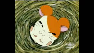 Hamtaro Opening 2 (Deutsch/German) - Alles dreht sich um Hamtaro
