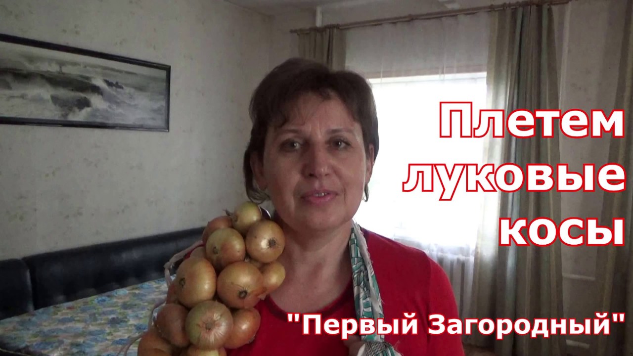 Как заплести косы из лука для длительного хранения. Простая и подробная инструкция плетения кос!