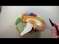 Neuroanatomy Structures and Functions
