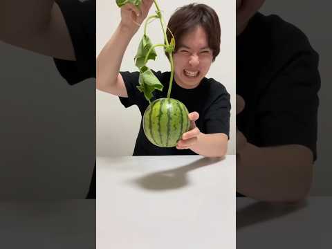 #shorts #short #shortsviral #shortsfeed #facts #youtubeshorts