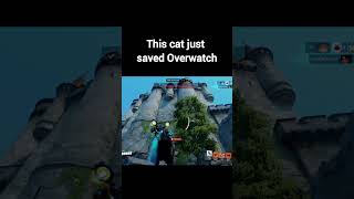 this cat just saved overwatch 😸