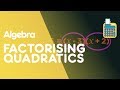 Understanding Quadratics