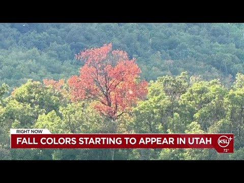 YouTube video thumbnail: Fall Colors Starting to Show in Utah, but This Season May not Be as Vibrant
