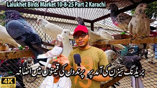 Lalukhet Birds Market 10-8-25 | Special discount on Bird prices on the occasion of Independence Day