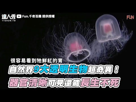 【自然界9大透明生物超奇異！ 器官清晰可見還能長生不死】｜@Fun.千奇百趣