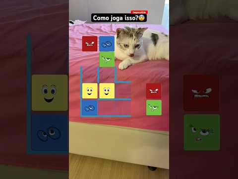 ALGUÉM SABE JOGAR ISSO? #gamefilter #cat #filter #filterchallenge #catlover #shortsvideo #challenge
