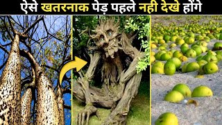 ऐसे खतरनाक पेड़ पहले कभी नहीं देखे होंगे || 5 Most Dangerous Trees Of The World  || UljhansuLjhan