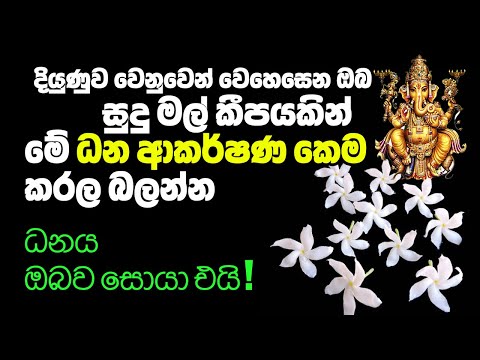 ධනය ඔබව සොයා එන බලගතු ධන ආකර්ෂණ පිළියමක් | Gana Devi Pooja To Attract Money