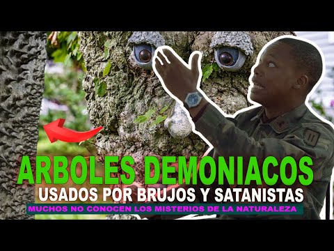 ARBOLES DEMONIACOS USADOS POR BRUJOS Y SATANISTAS (LA JAVILLA) // EX-RUJO AMAURY BATISTA