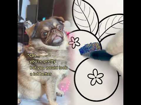 you're welcome to use that one 👿 #humour #tinydog #funnydogs pov #foryoupage #asmr#funny 😑
