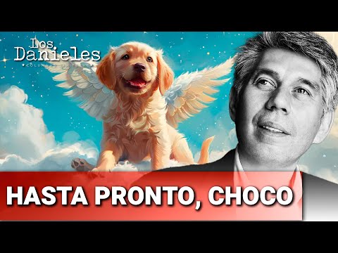 El conmovedor adiós a Choco: Una historia de amor y amistad | Daniel Coronell