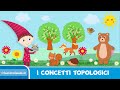 Posizioni degli Animali e Oggetti