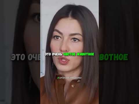 Баранина самый чистый и лучший вид миясо