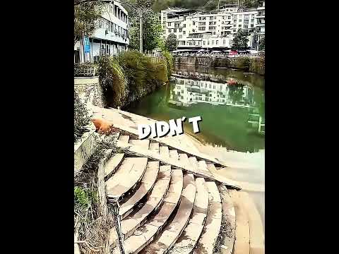 This Dog Did Something Incredible ๐ถโจ